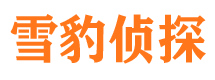 兴县外遇出轨调查取证